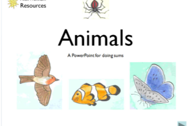 Animals