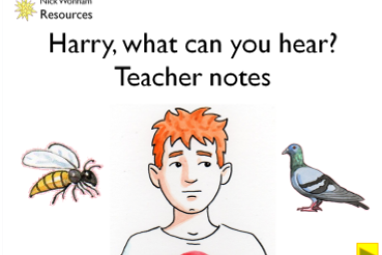 Harry, What can you hear? Teacher notes