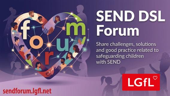 Forum for SEND Schools DSLs