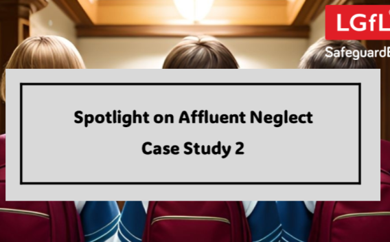 Image from Affluent Neglect Spotlight 2