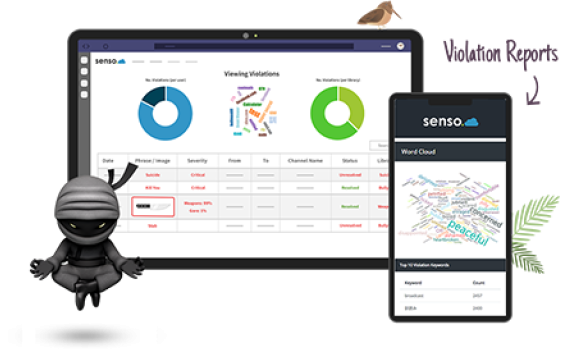 Senso Violation Reports Graphic