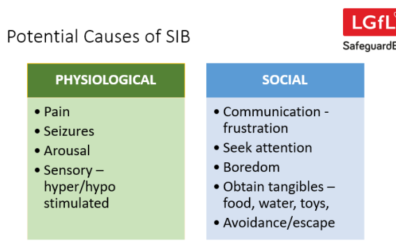 Image of slide giving list of possible reasons why SIB occurs