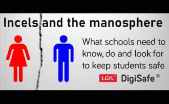 Incels and the manosphere