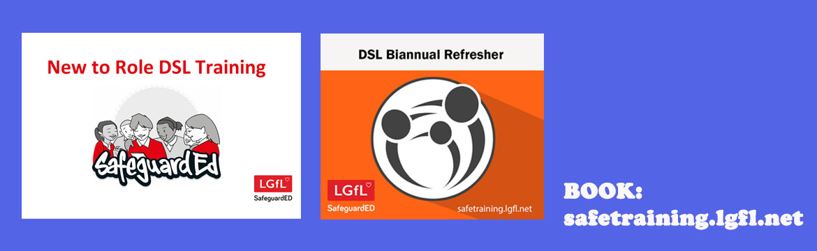 New to Role DSL Training