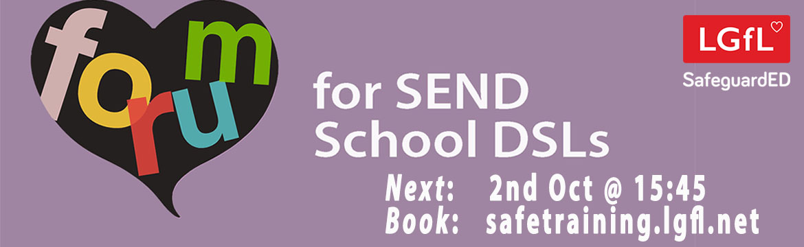 Forum for SEND Schools DSLs 